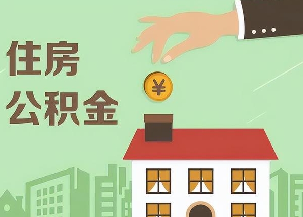 上海赌徒最怕什么样的女人？揭秘她们如何用冷静逻辑瓦解侥幸心理